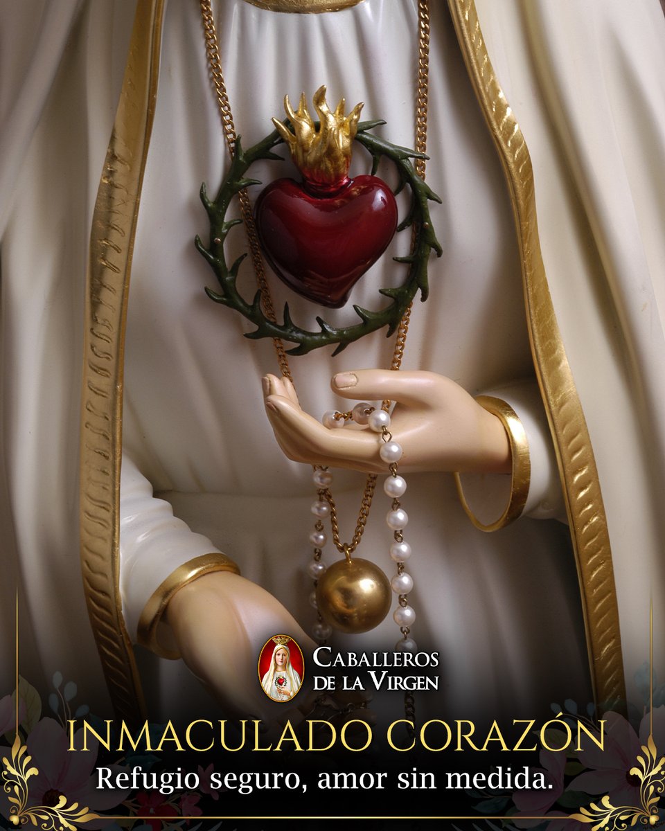 Caballeros de la Virgen tweet media
