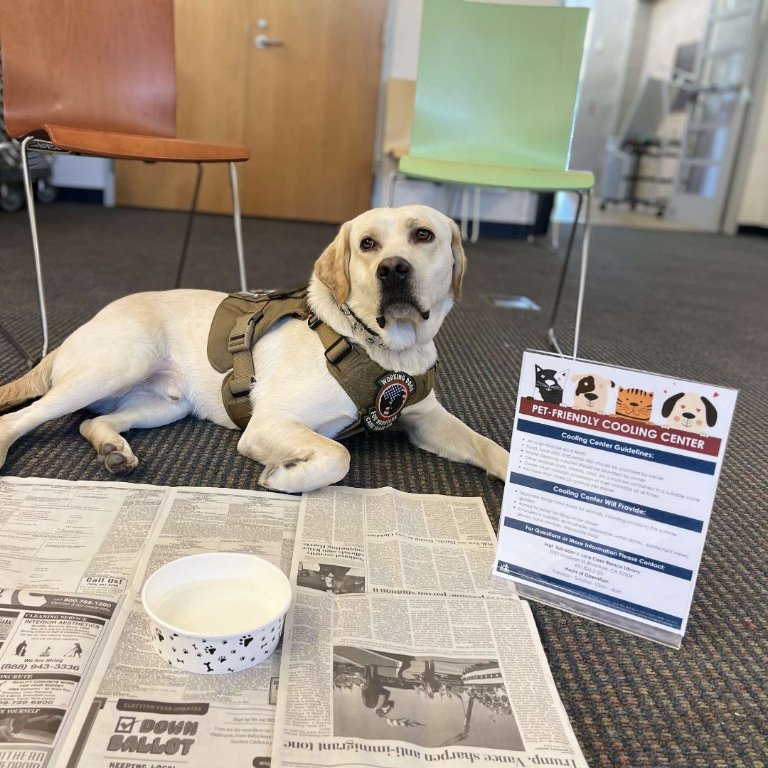 Riverside Public Library tweet media