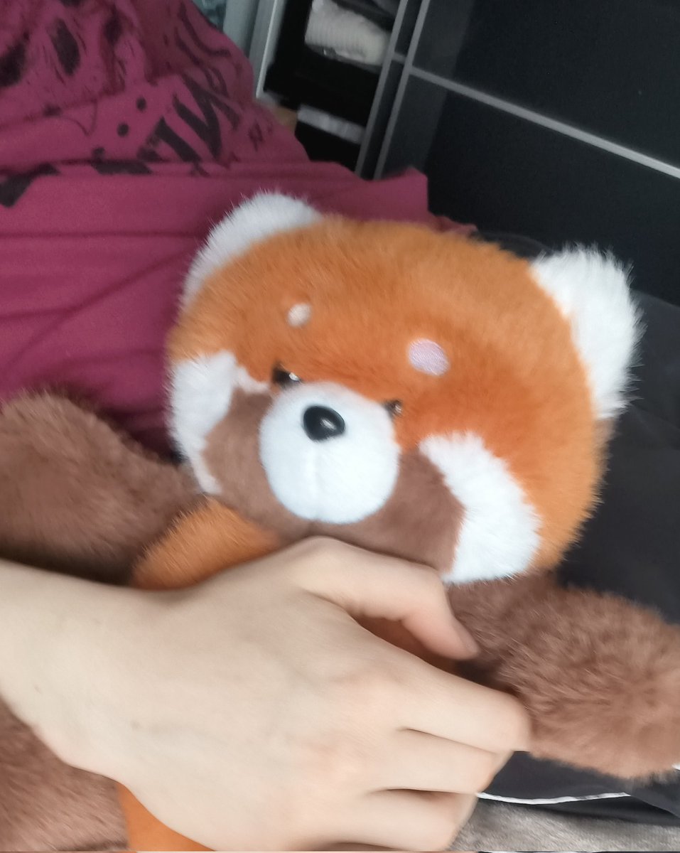 Seb ★ LOCKING IN tweet media