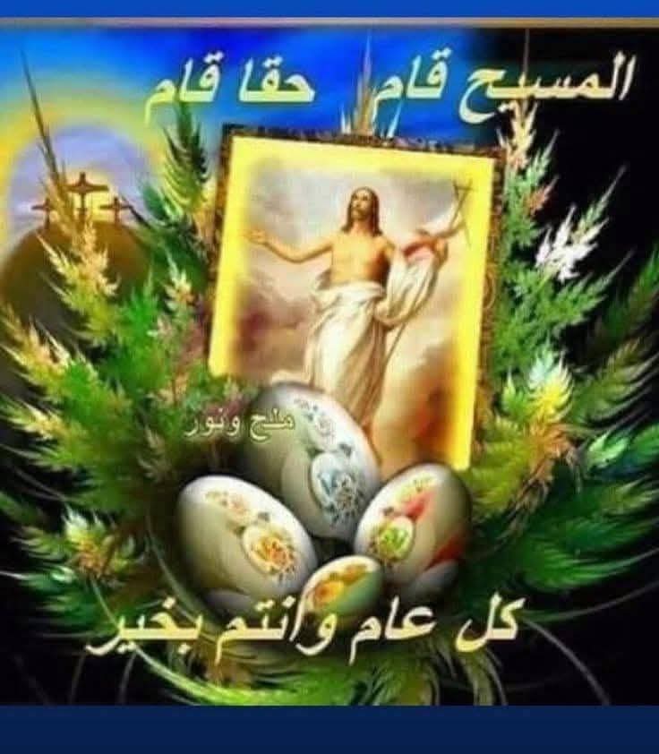 ماهر شوقى سعيد tweet media