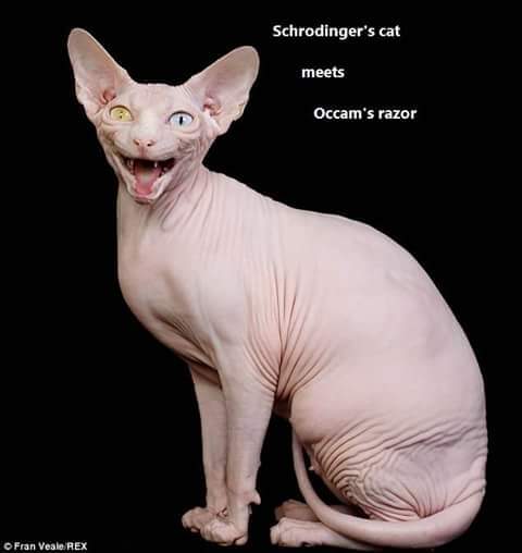 kevin espeseth tweet media