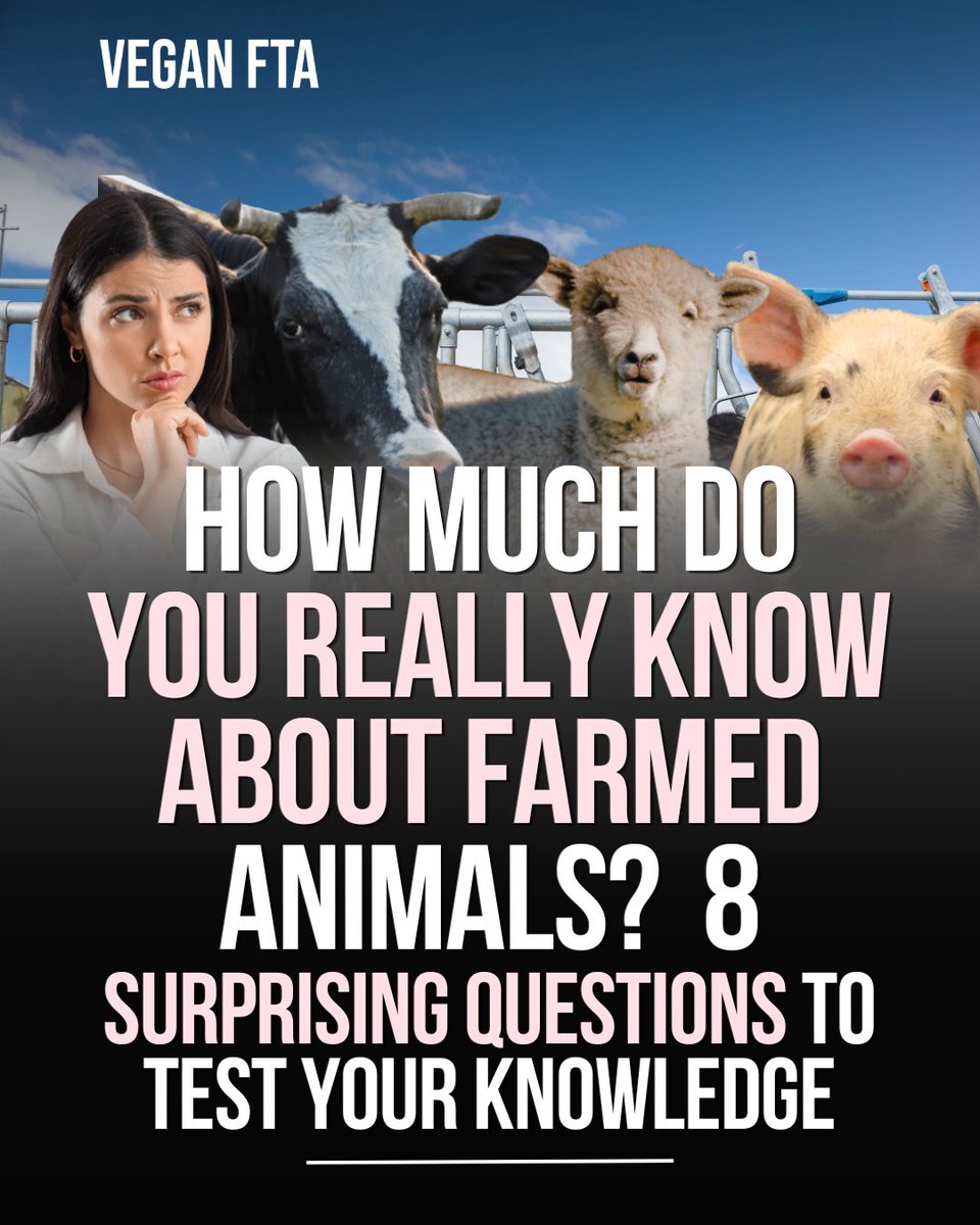 teamveganfta's tweet image. Think you know about the animals who are farmed? 🐷 These 8 questions may test your knowledge and even surprise you.👀

Take the quiz! 👇
veganfta.com/blog/2026/04/0…

#animallover #animals #farmanimals
