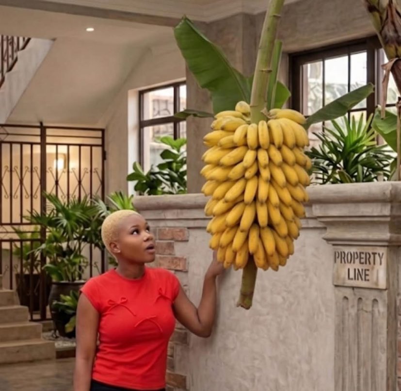 Not every “I understand” actually means they understand.