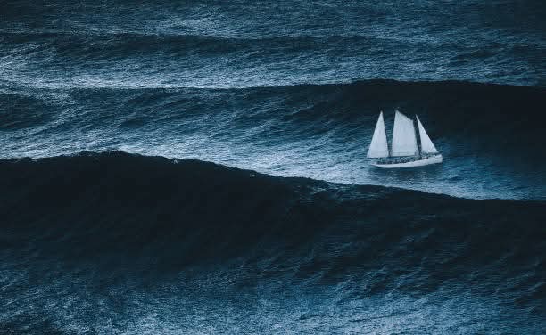 Sailor (@Sailor676561) / Posts / X
