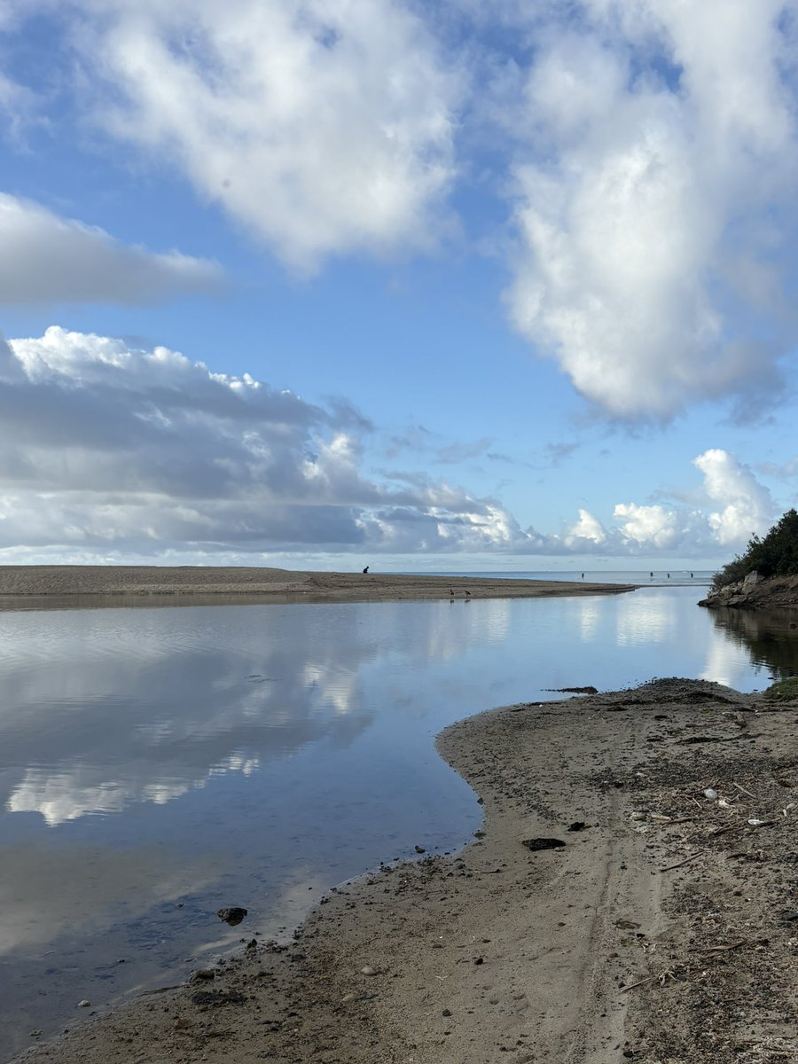 Michele Steer tweet media