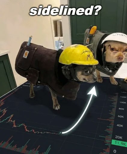 DavidWyns tweet media