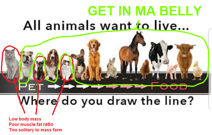 ham@s shiny colors tweet media