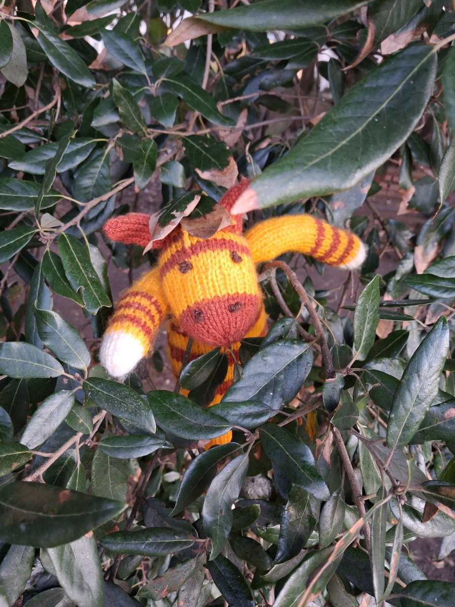 Wilbur Wonkey Mcdonkey tweet media