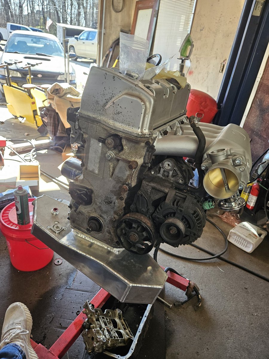 alexandra tweet media