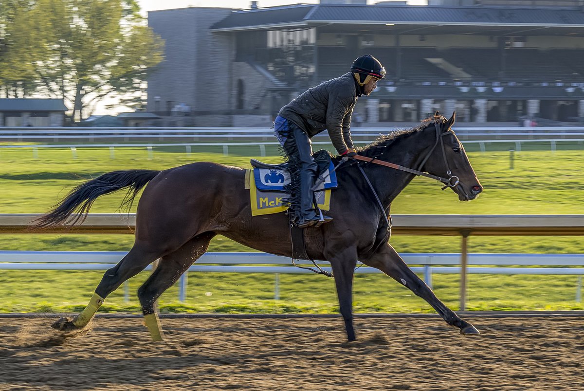 Mojo Filly exercising at Keeneland…📸 by Estill Robinson