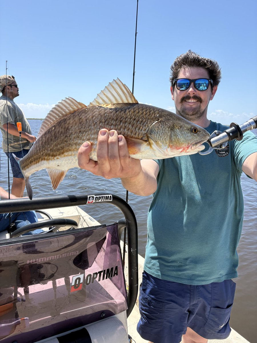 dufrenesguide's tweet photo. Sammy Esch and friends from Mississippi put together a nice box of reds this am. #MinnKota 
#Humminbird  
#Raptor
#Solix 
#OPTIMAbatteries
#BomberLures #PennFishing #BerkleyFishing
@MinnKota
@humminbird
#MajekBoats
#Spiderwire
#OPTIMABattery https://t.co/O87HTKucQh