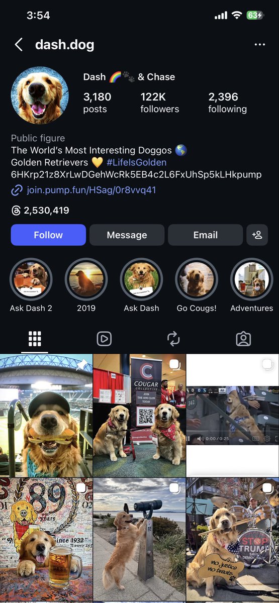 Two possible directions for $Chase right now.

First, it probably not mooning. The meme already went viral, the owner is fully in with CA in bio and keeps posting the dog . Too many people got in early, so there are way too many bags floating around. The moment pumper try to pump