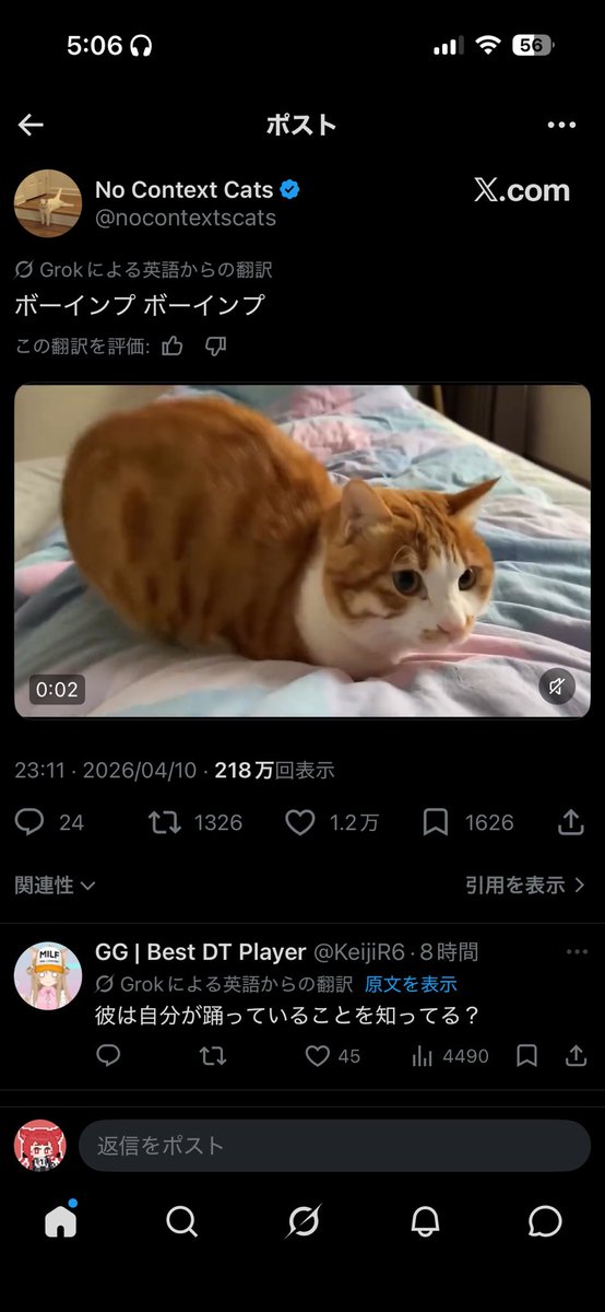 きちゅねうどん tweet media