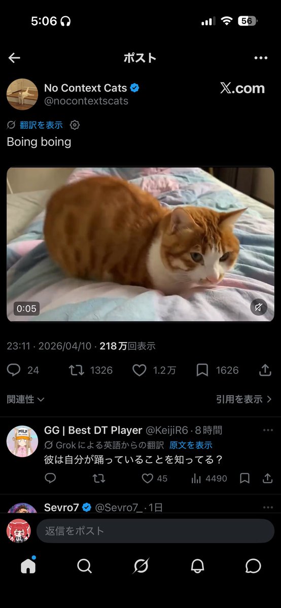 きちゅねうどん tweet media