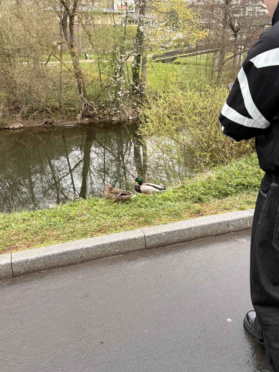 Як завжди з шайтаном