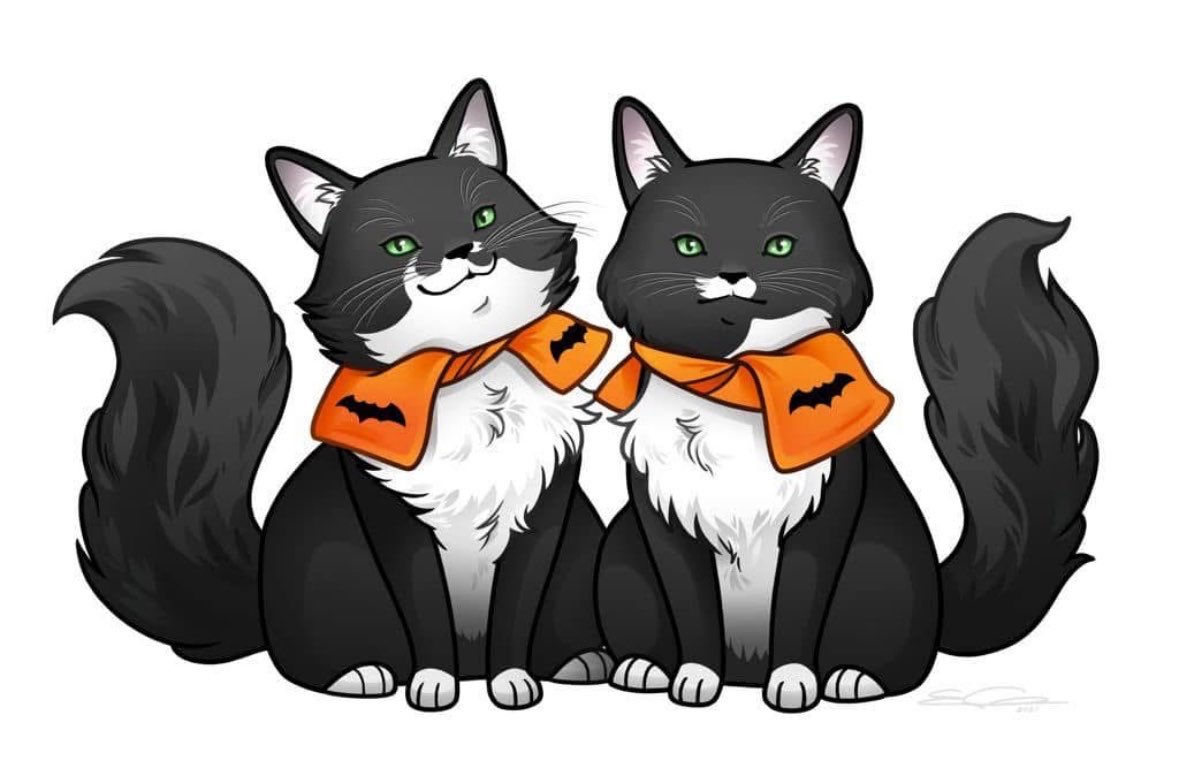 Timandra Dyer tweet media