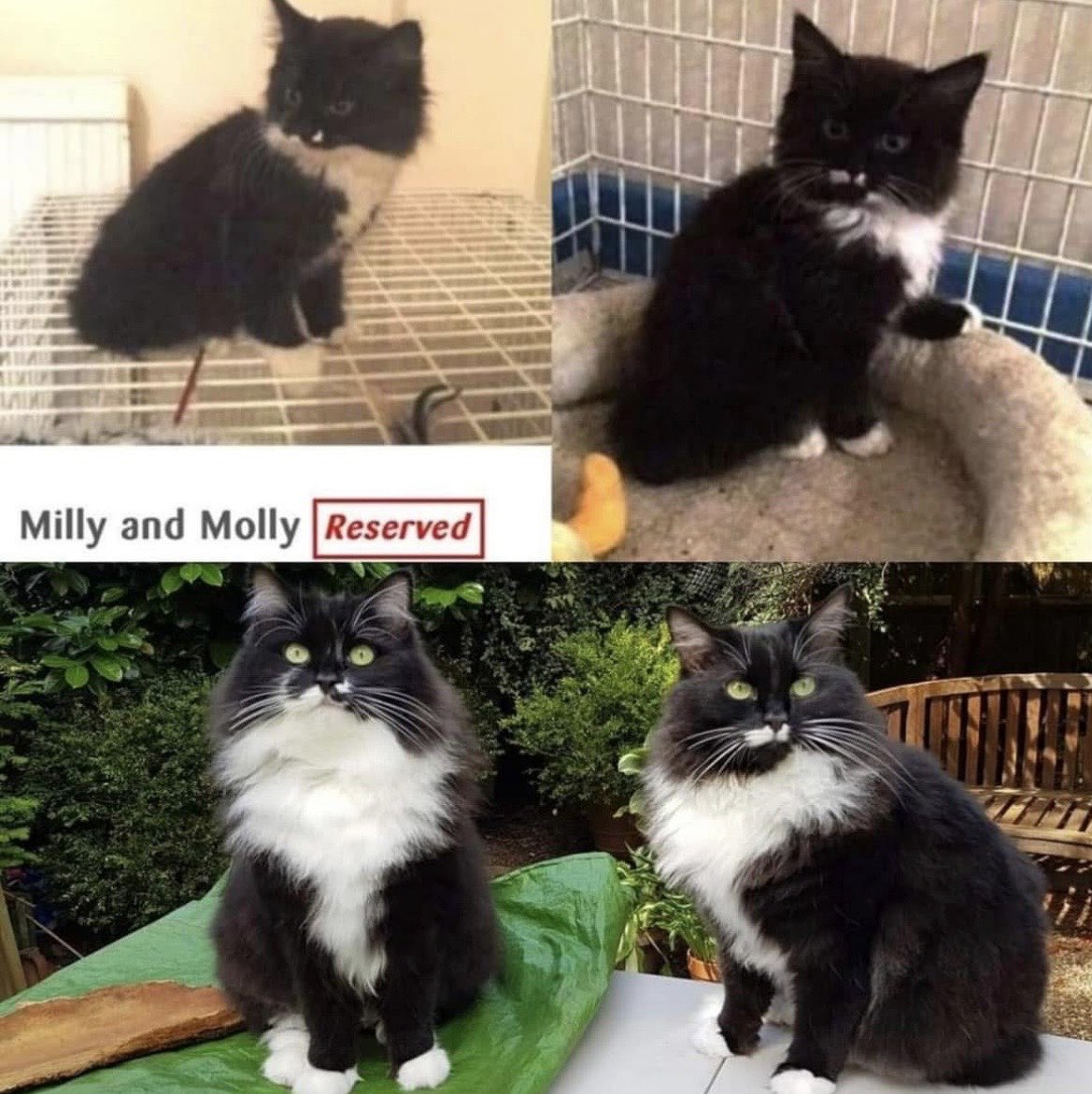 Timandra Dyer tweet media