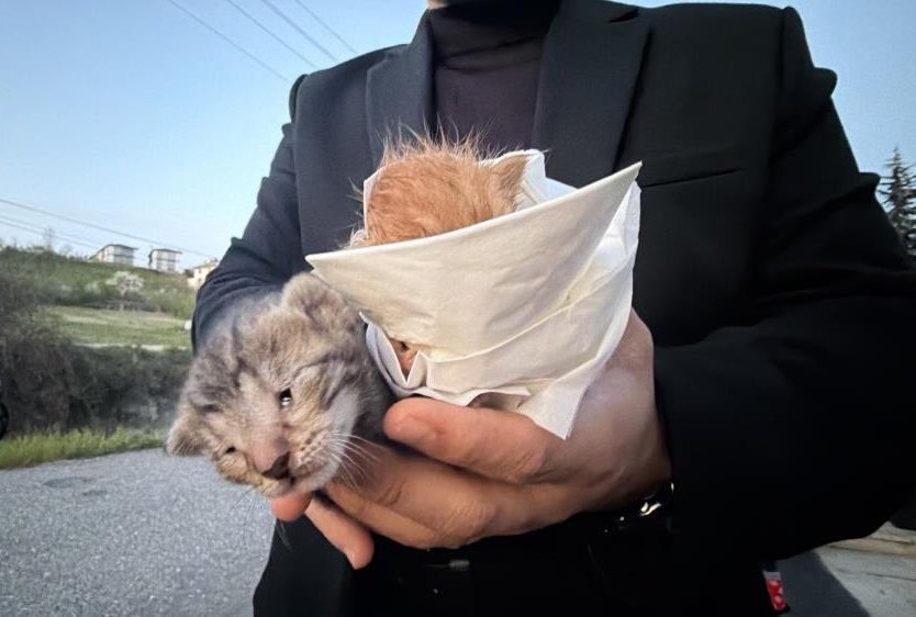 🎙️ Muhbir tweet media