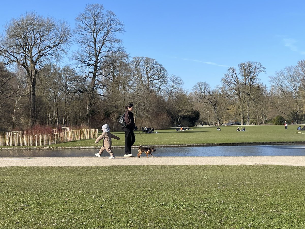 Sealseal tweet media