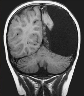 Dr. Chibuike M. tweet media