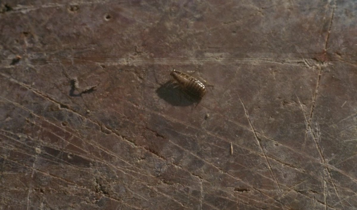 diegoquaglia2's tweet image. Crime e Castigo (Rikos ja rangaistus, Aki Kaurismäki, 1983)

Já no primeiro longa pensando e encenando como um mestre.