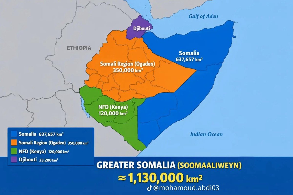 Filsan Q tweet media