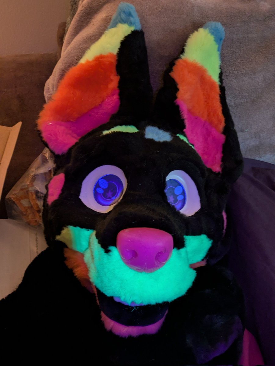 whitewolfangel7's tweet image. Doberman head Byte finished!  The base was made on a genuine @DvC_Ciara base we appreciate your fine business as a major fursuit building supplier!!  🎉✨🪡 #furry #dobermanfursuit #uv reactive #FursuitsEveryday  #fursuitmakers