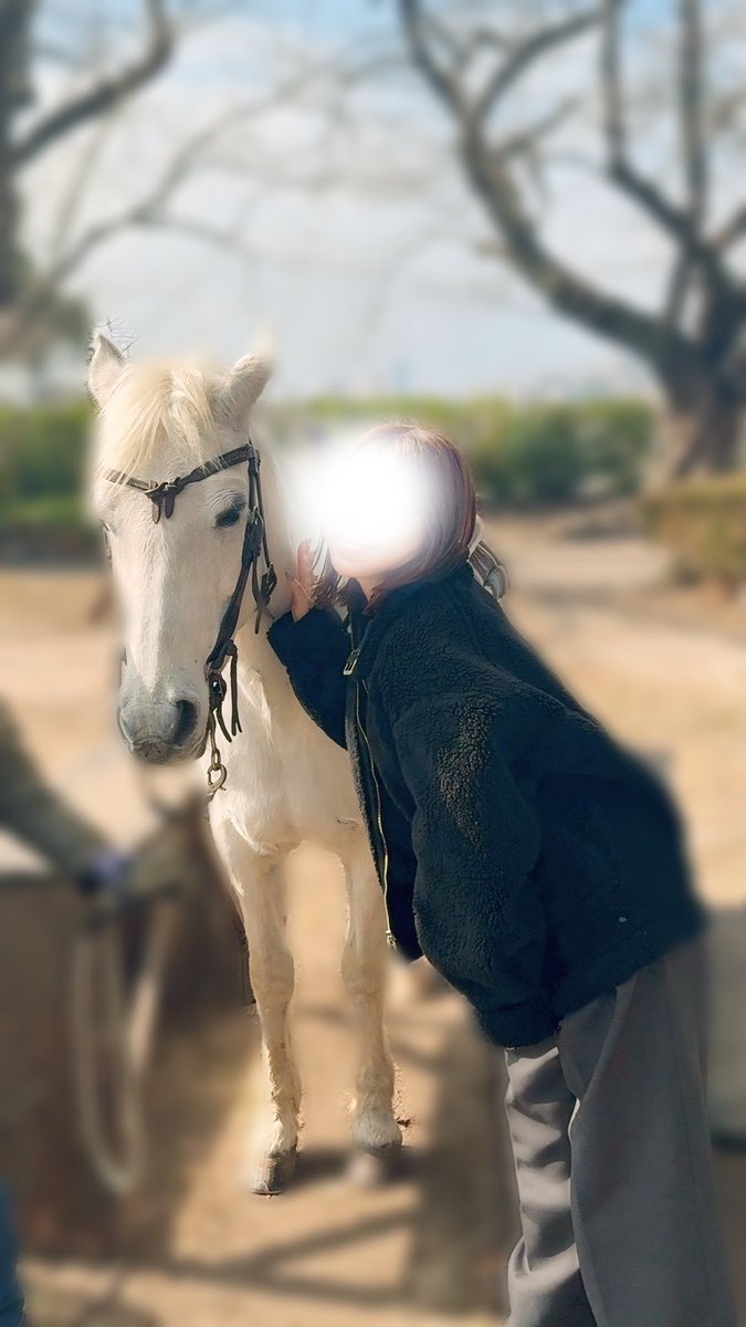 izmakr_'s tweet photo. かーわいかった思い出🐎🐎🐎 https://t.co/baVOZt61rE