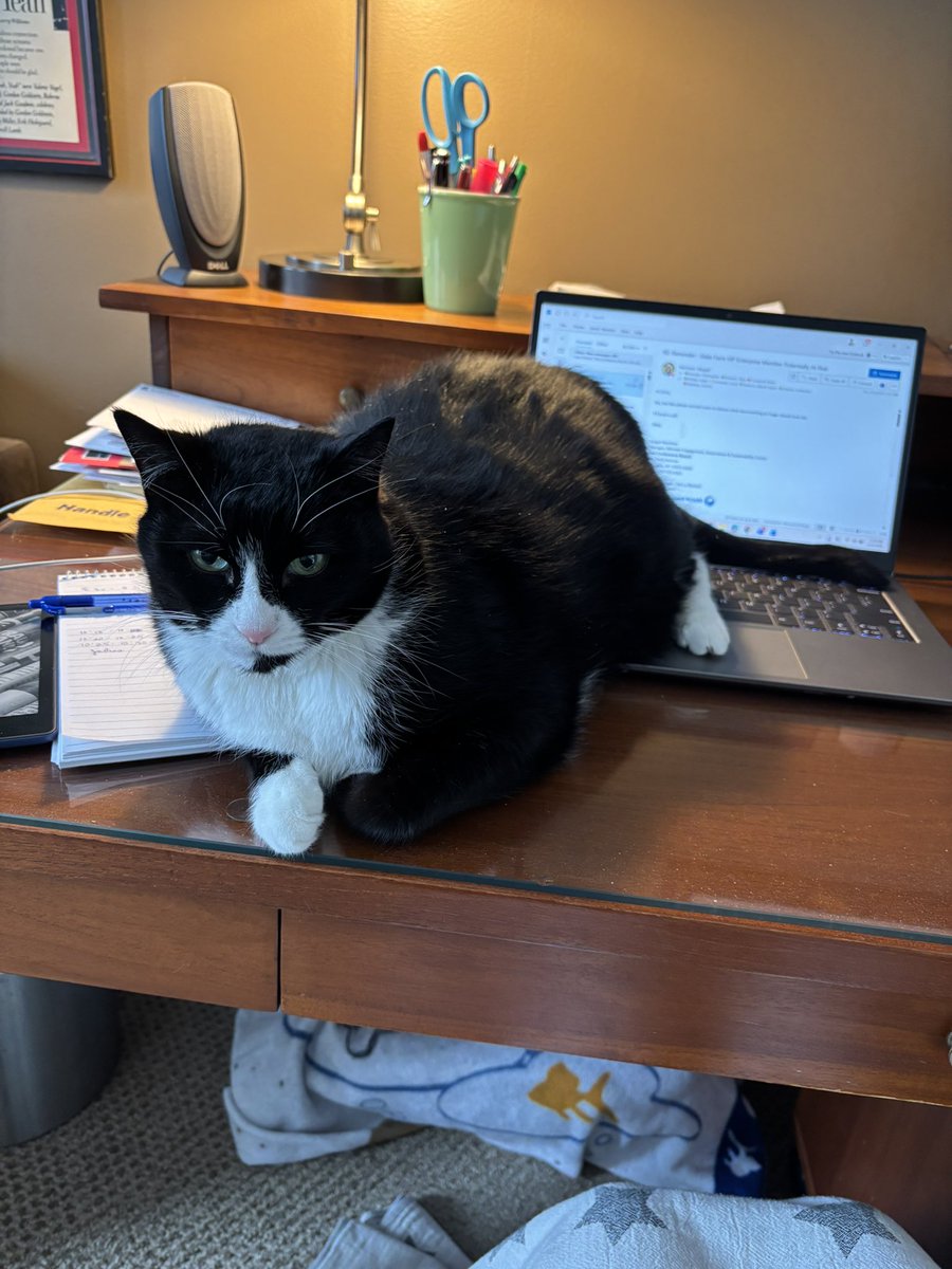 Wendi Taylor Nations tweet media