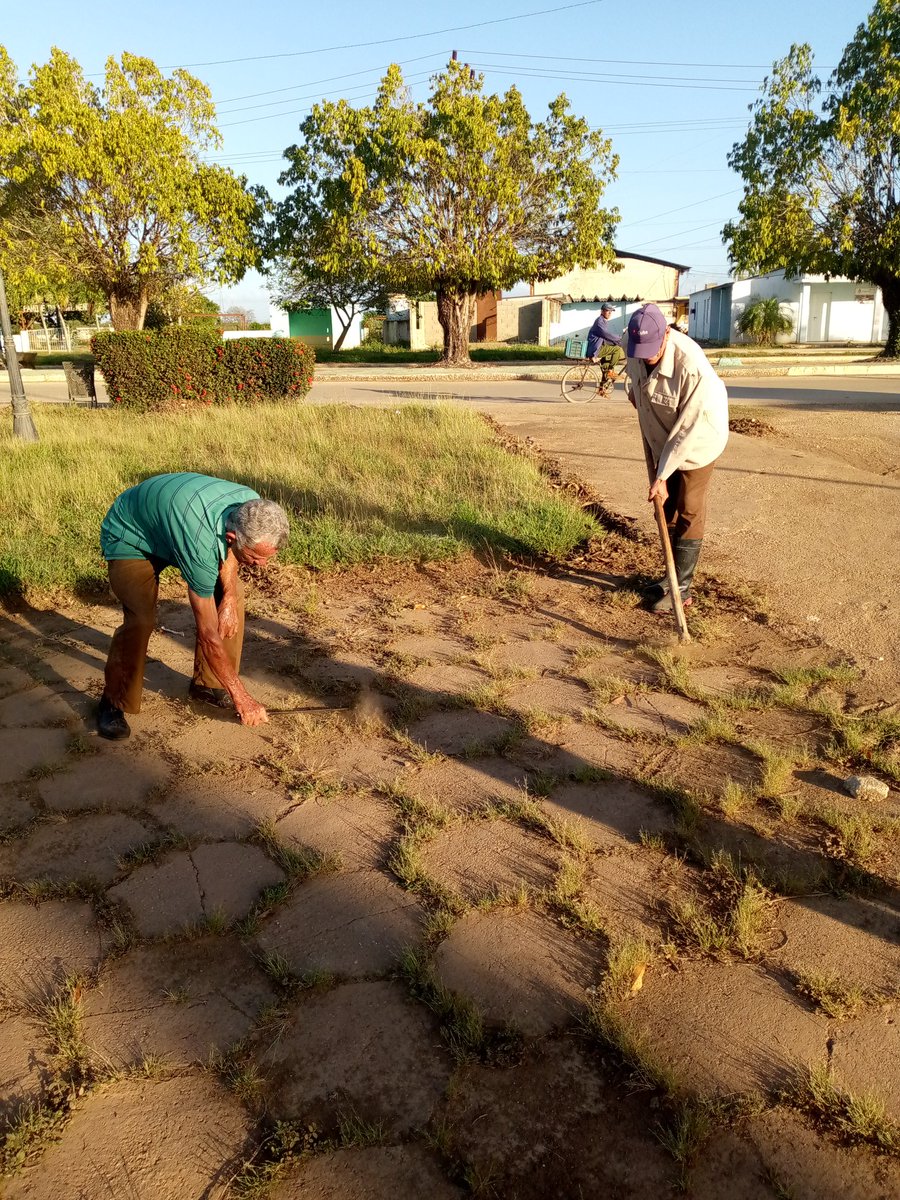 Desde bien temprano los educadores baragüenses trabajan en la limpieza y embellecimiento de la Plaza Marcial de Jesús Gómez Cardoso.
#BaraguáPorMás