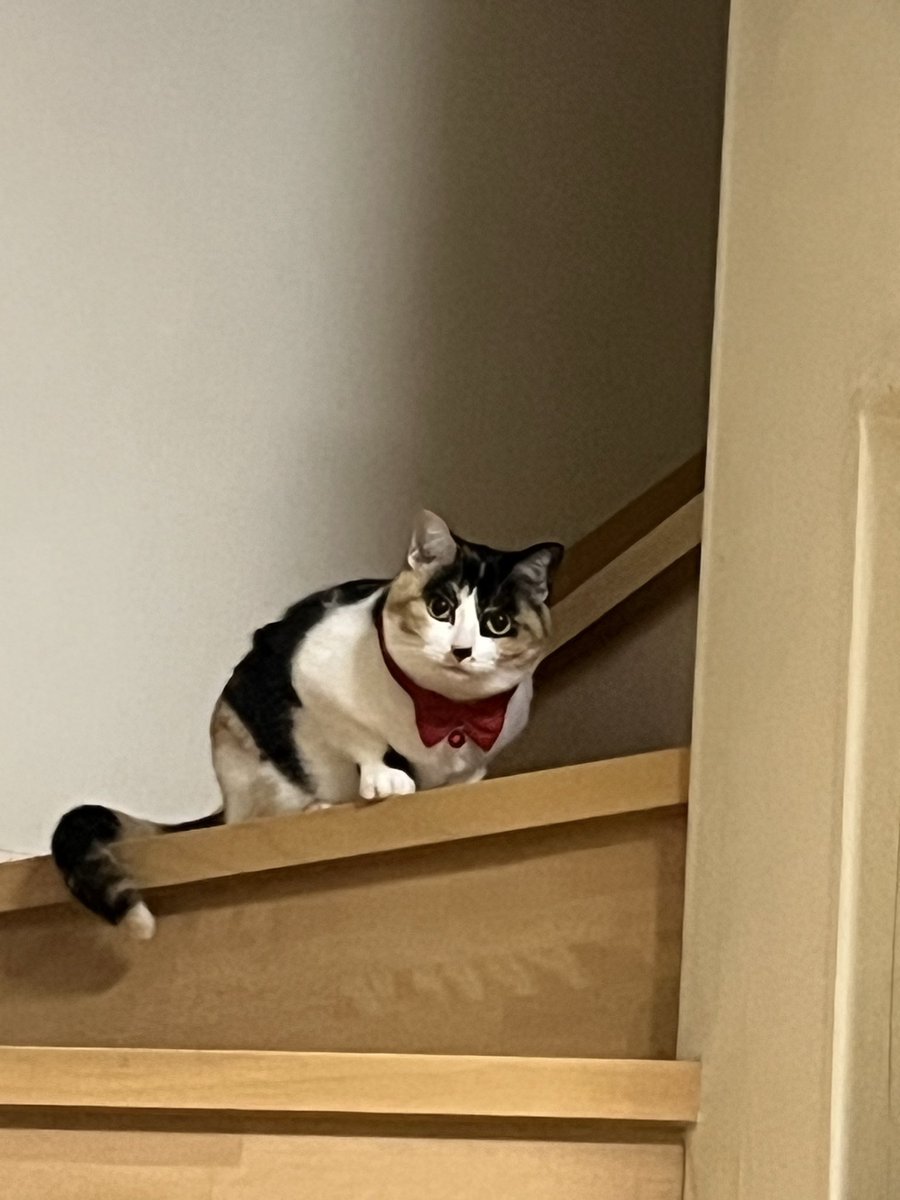 竹ちゃん tweet media