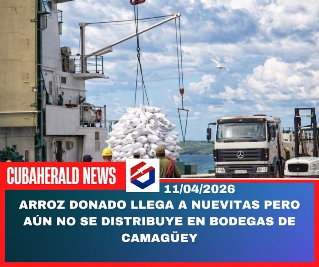 CubaHerald tweet media