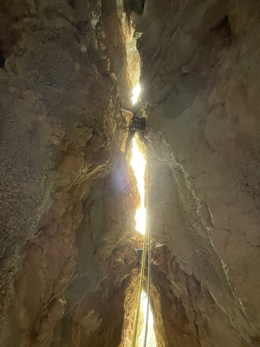 Malaka 🐐 tweet media