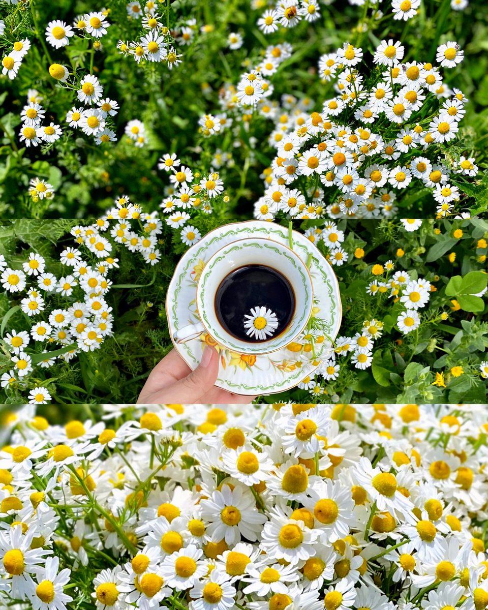 World Click (@worldclick56) on Twitter photo 