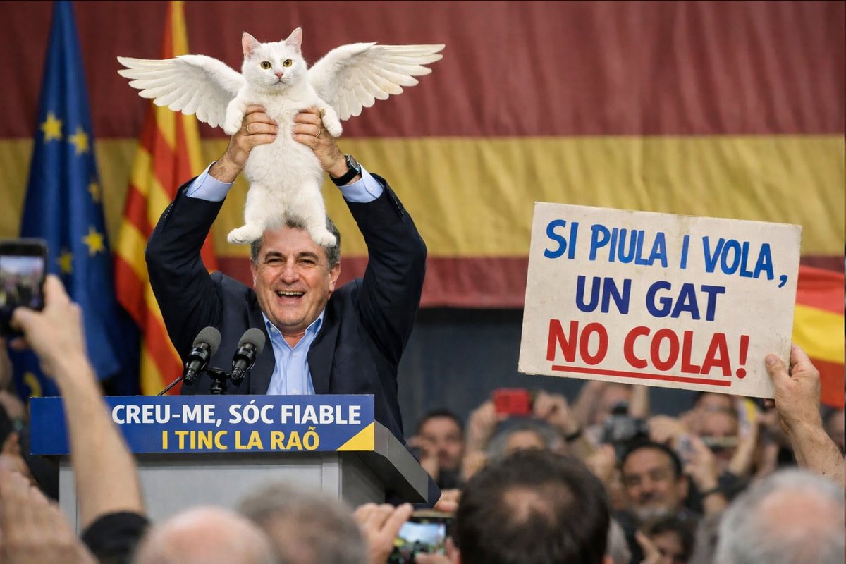 Si piula i vola, un gat no cola!