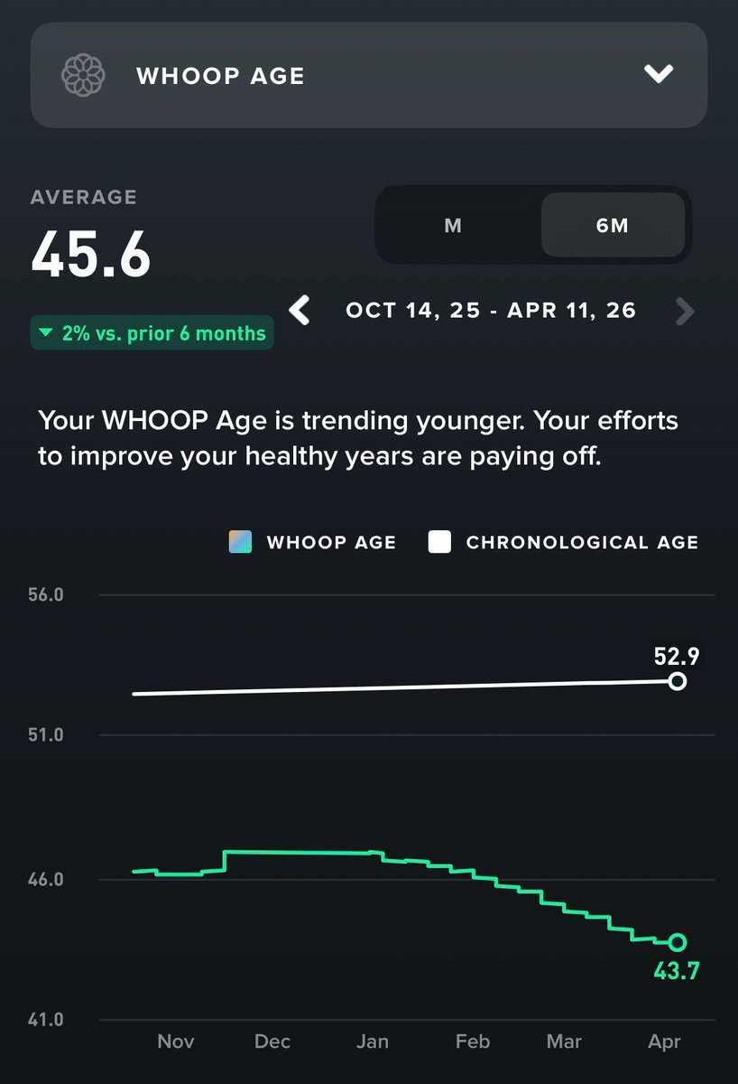 Daniel Lloyd tweet media