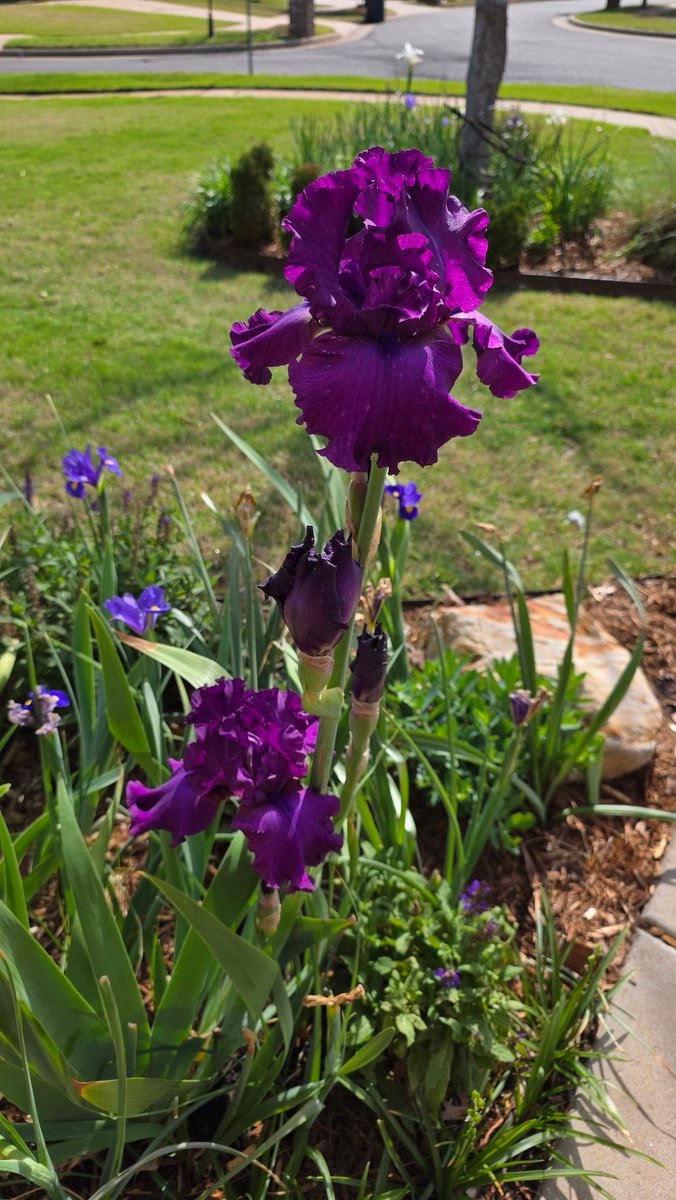 Sherry B tweet media