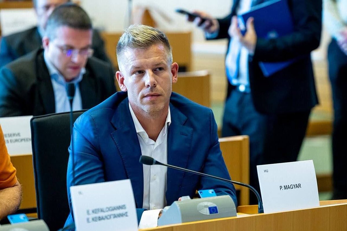 Sabrina F. tweet media