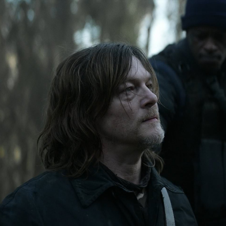 Best of Daryl Dixon tweet media