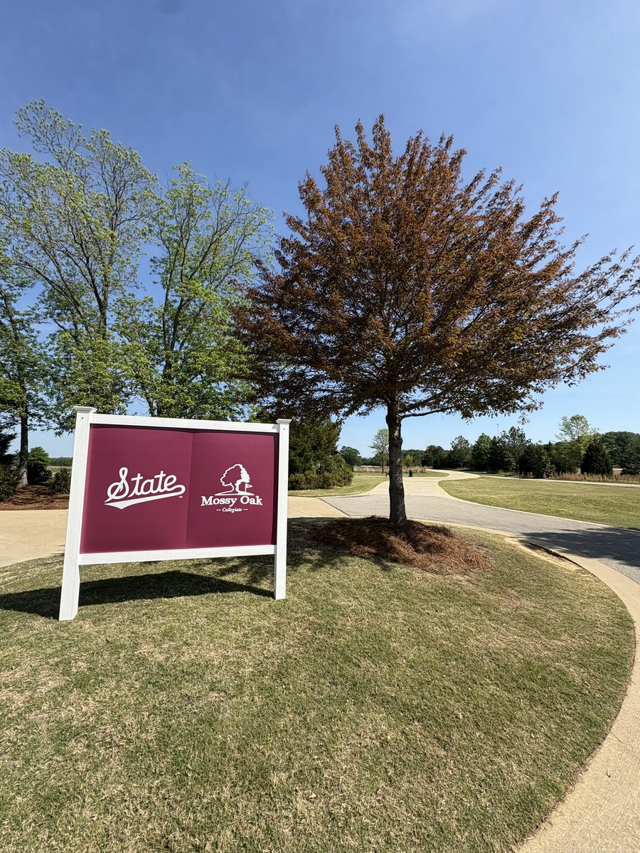 erand07's tweet photo. Wild this is my 4th Mossy Oak Collegiate 

Come watch some Golf! 

Monday 8am-6pm
Tuesday 8am -3pm 

Mossy Oak Golf 

@HailStateMG https://t.co/sRgaXqK0sw