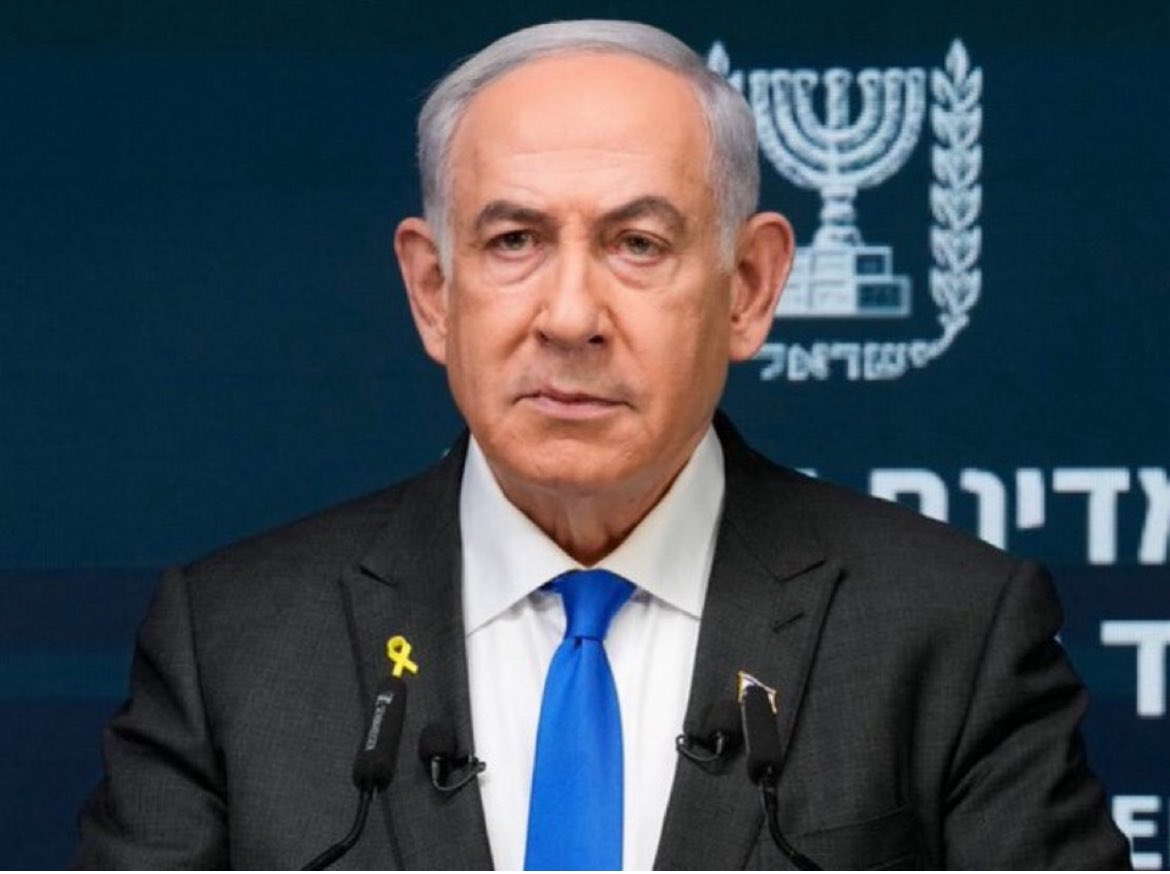 Vivid.🇮🇱 tweet media