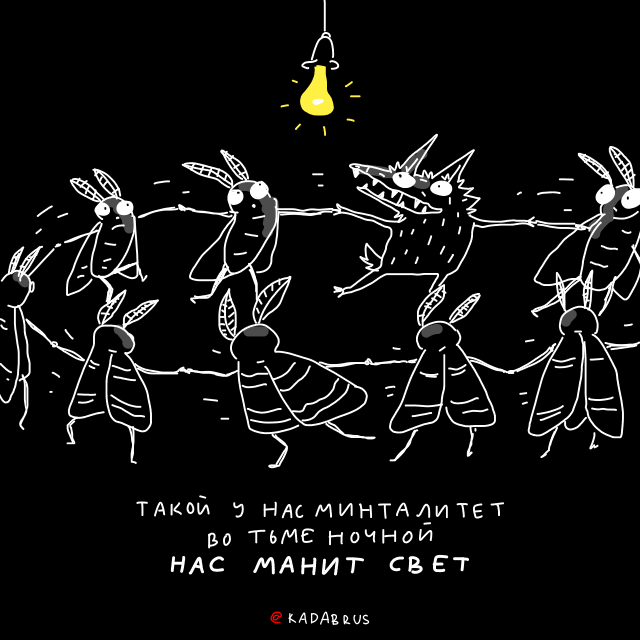 Типичные ебеня tweet media