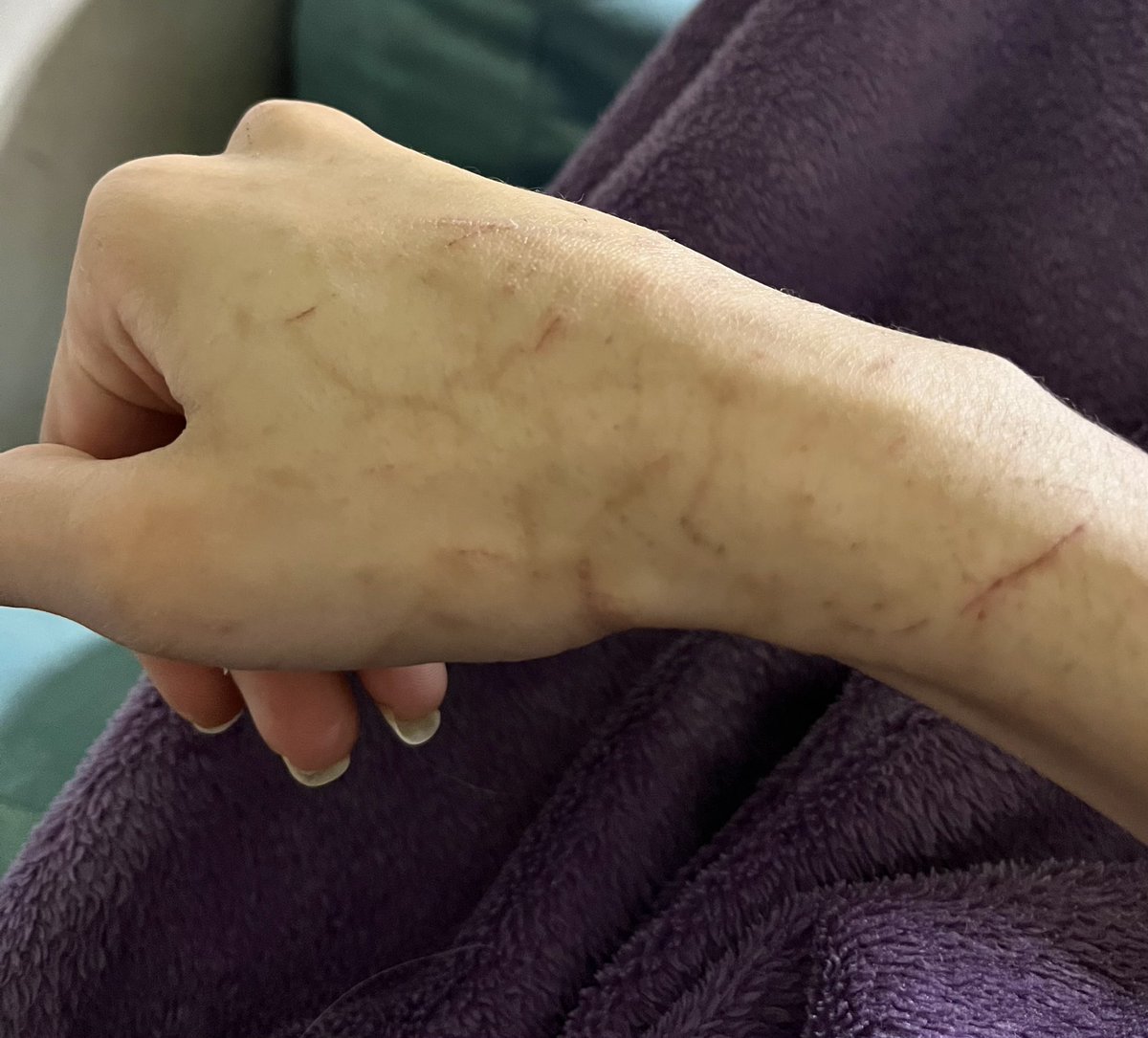 KEIRA/DOOM 💤 COMMS OPEN tweet media