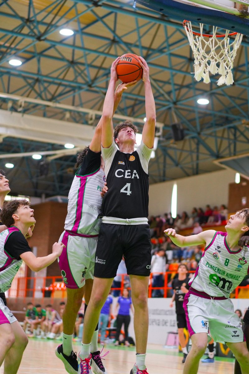 Federación Extremeña de Baloncesto tweet media