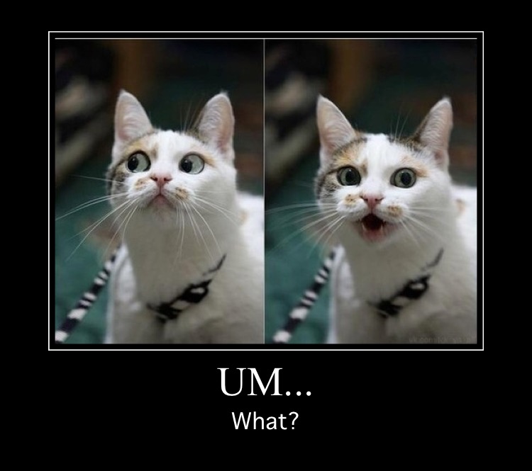 InsaneGraphics tweet media