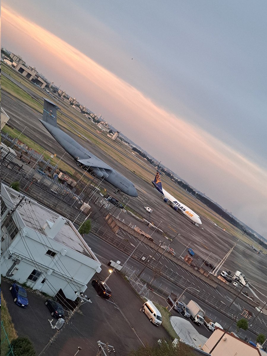 足場屋のマンドラゴラ姐さん tweet media