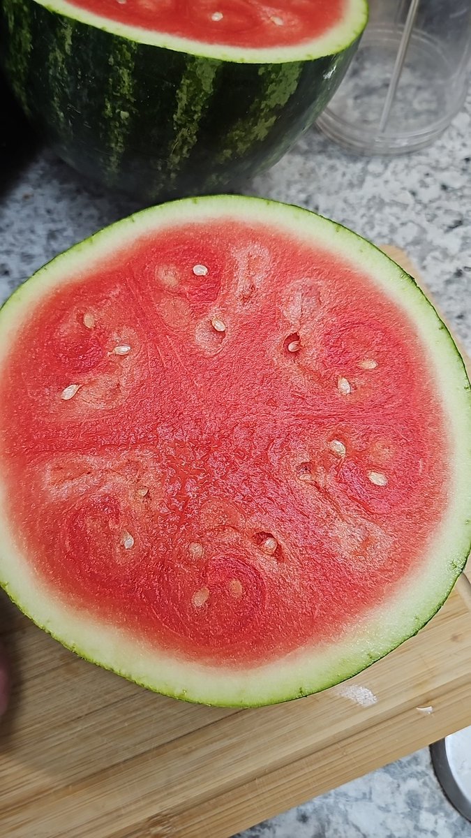 Tazmania ∴ tweet media