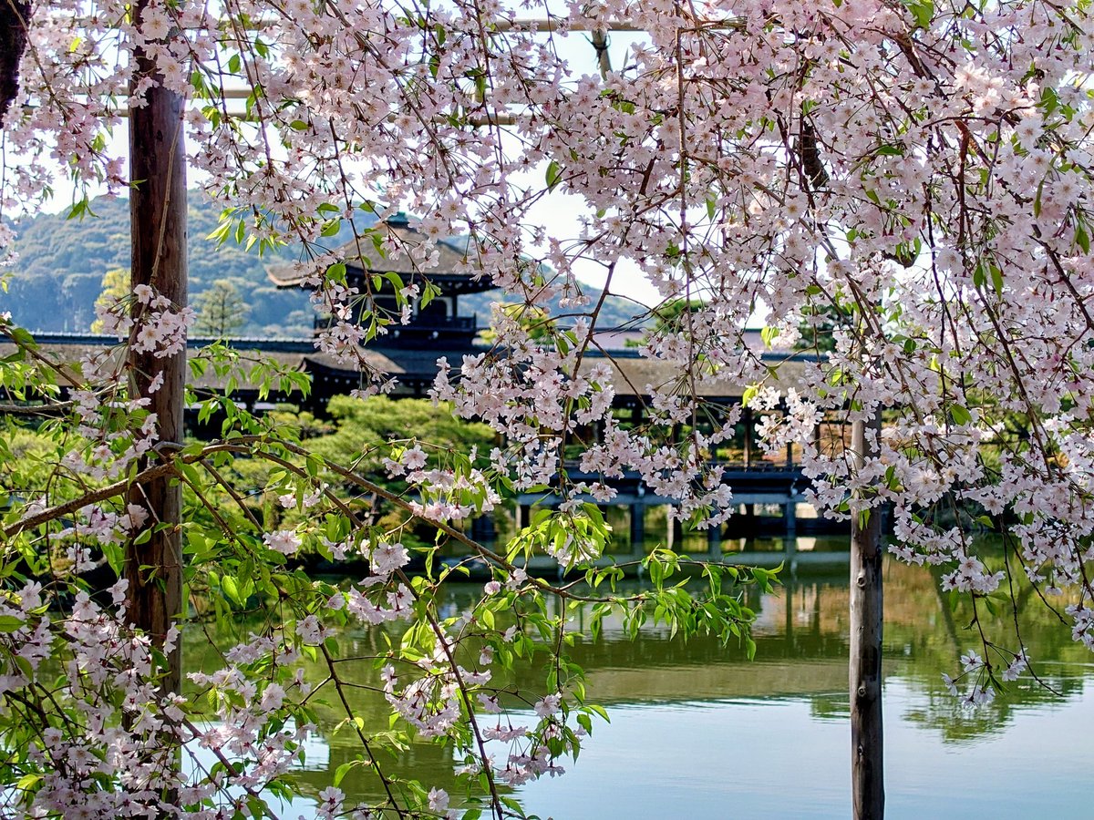 まるぶら tweet media