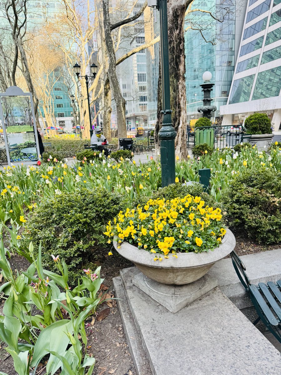 VernaPolitics's tweet image. Another beautiful day in the neighborhood/ …#BryantPark ..  without #MrRogers  😊 &amp;amp; perfect for a stop there —and long walk elsewhere !