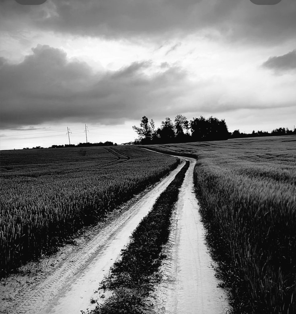 Me_________LLoooo tweet media